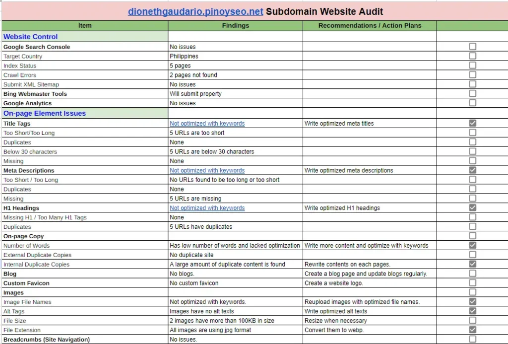 Website Audit work sample